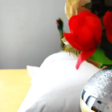 Cosy Monceau Hotel 2*